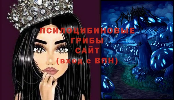 спайс Алзамай