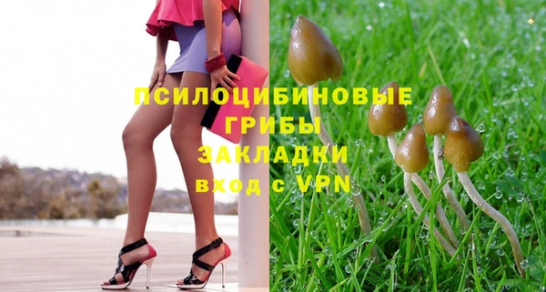 спайс Алзамай