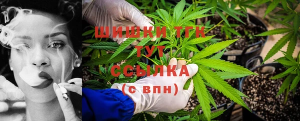 спайс Алзамай