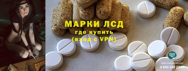 спайс Алзамай