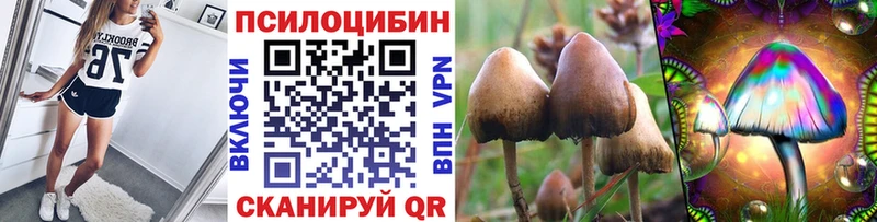 OMG зеркало  Можга  Галлюциногенные грибы MAGIC MUSHROOMS 